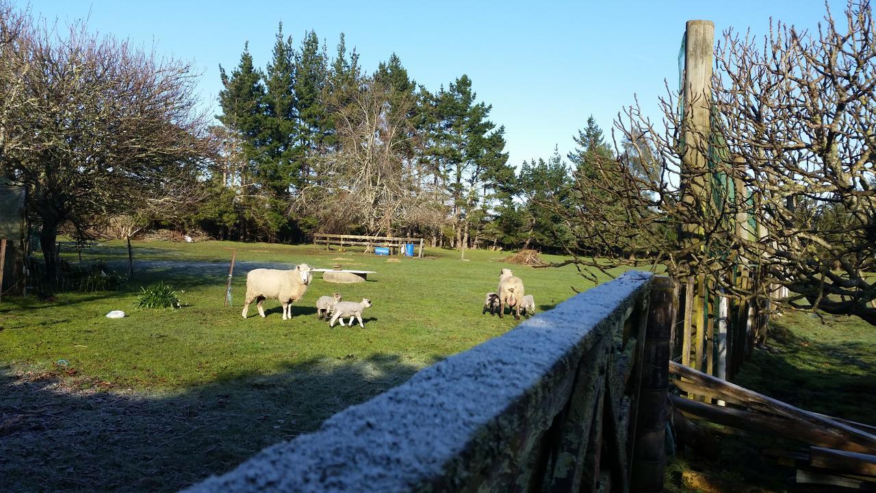 Takanini Woodbury Farm Bed & Breakfast エクステリア 写真