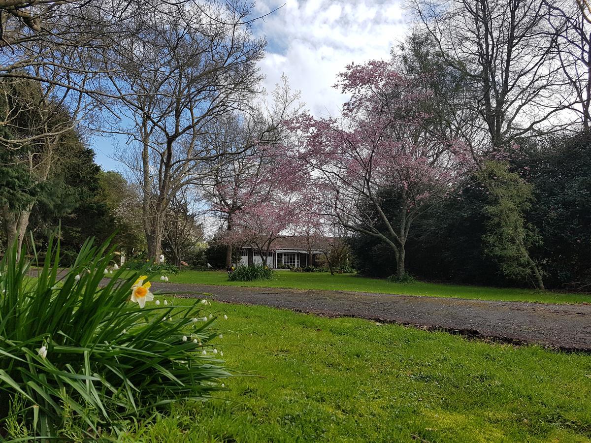 Takanini Woodbury Farm Bed & Breakfast エクステリア 写真